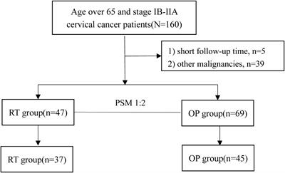 Comparison of oncological outcomes in elderly early-stage cervical cancer patients treated with radical surgery or radiotherapy: A real-world retrospective study with propensity score matching